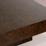 Kivara Burl Coffee Table