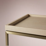 Avindra Coffee Table — BONE