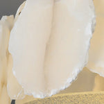 Alabaster Artze Brass Ceiling Light — image 19