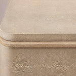 Liromelle Shagreen Closed Nightstand