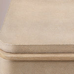Liromelle Shagreen Closed Nightstand