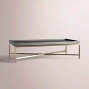 Avindra Coffee Table — SPARROW