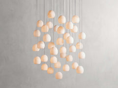 36 LIGHT