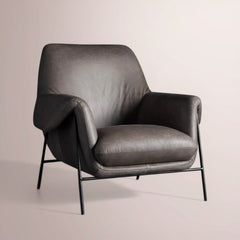 LANIE GRAPHITE