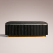 Favera Coffee Table — EBONY / BLUESTONE / 48
