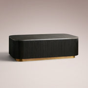 Favera Coffee Table — EBONY / BLUESTONE / 48