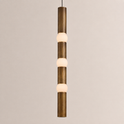 Carey Segmenta Pendant Light