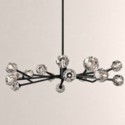 Celestine Clear Crystal Glass Round Chandelier 72