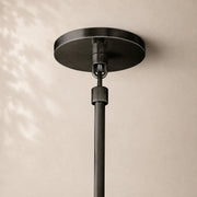 Chavaux Crystal Pendant Light 4