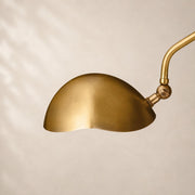 Convera Floor Lamp 48