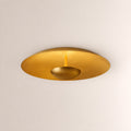 Orvyn Disc Semi-Flush Mount Ceiling Light