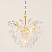 Darevielle Teardrop Blown Glass Chandelier 24
