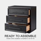 Mara Solid Wood 6 Drawers Storage Cabinet For Living Room