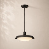Kenora Barn Pendant Light 14