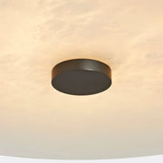 Round Ankeny Alabaster Ceiling Lamp — image 9