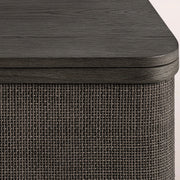 Trevia Media Console