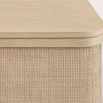 Trevia Media Console