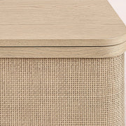 Trevia Media Console