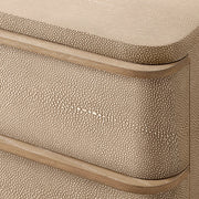 Liromelle Shagreen Closed Nightstand