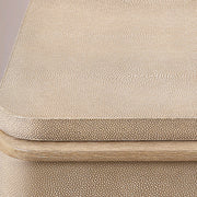 Liromelle Shagreen Closed Nightstand