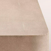 Liromelle Shagreen Rectangular Plinth Coffee Table