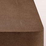 Liromelle Shagreen Rectangular Plinth Coffee Table